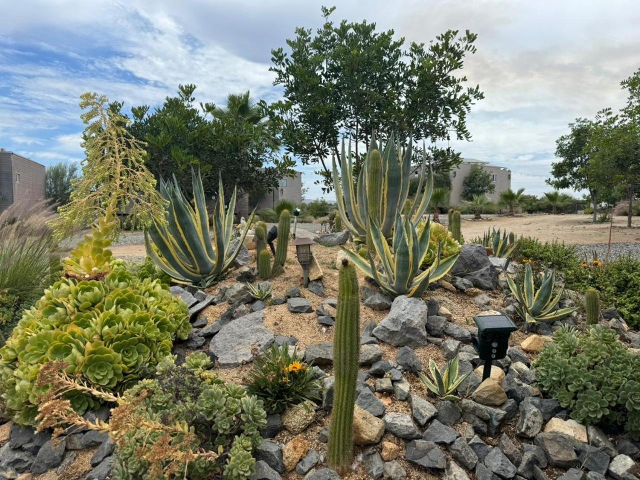 Rincon Del Corazon Villa Guadalupe Eksteriør billede